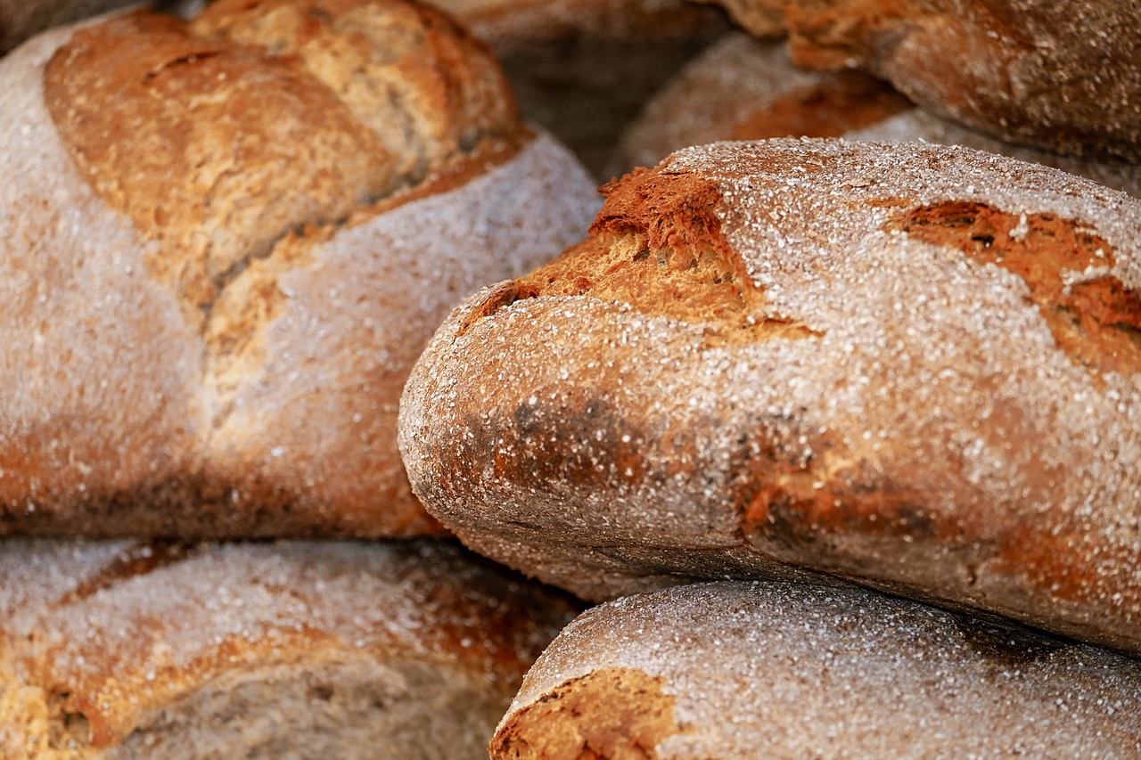 Pão e pães: Entenda essa variação do plural e outros exemplos