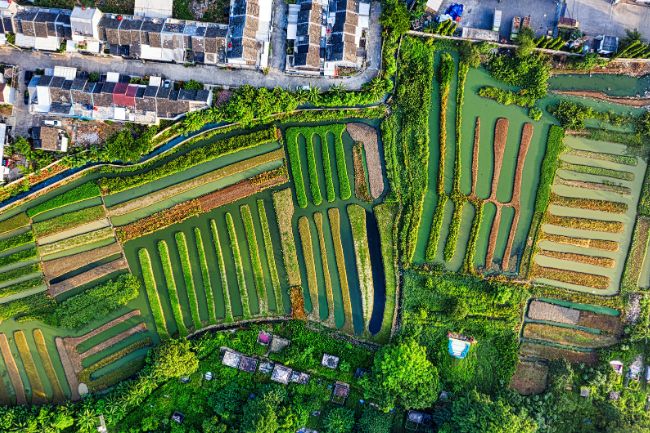 Cidades Sustentáveis