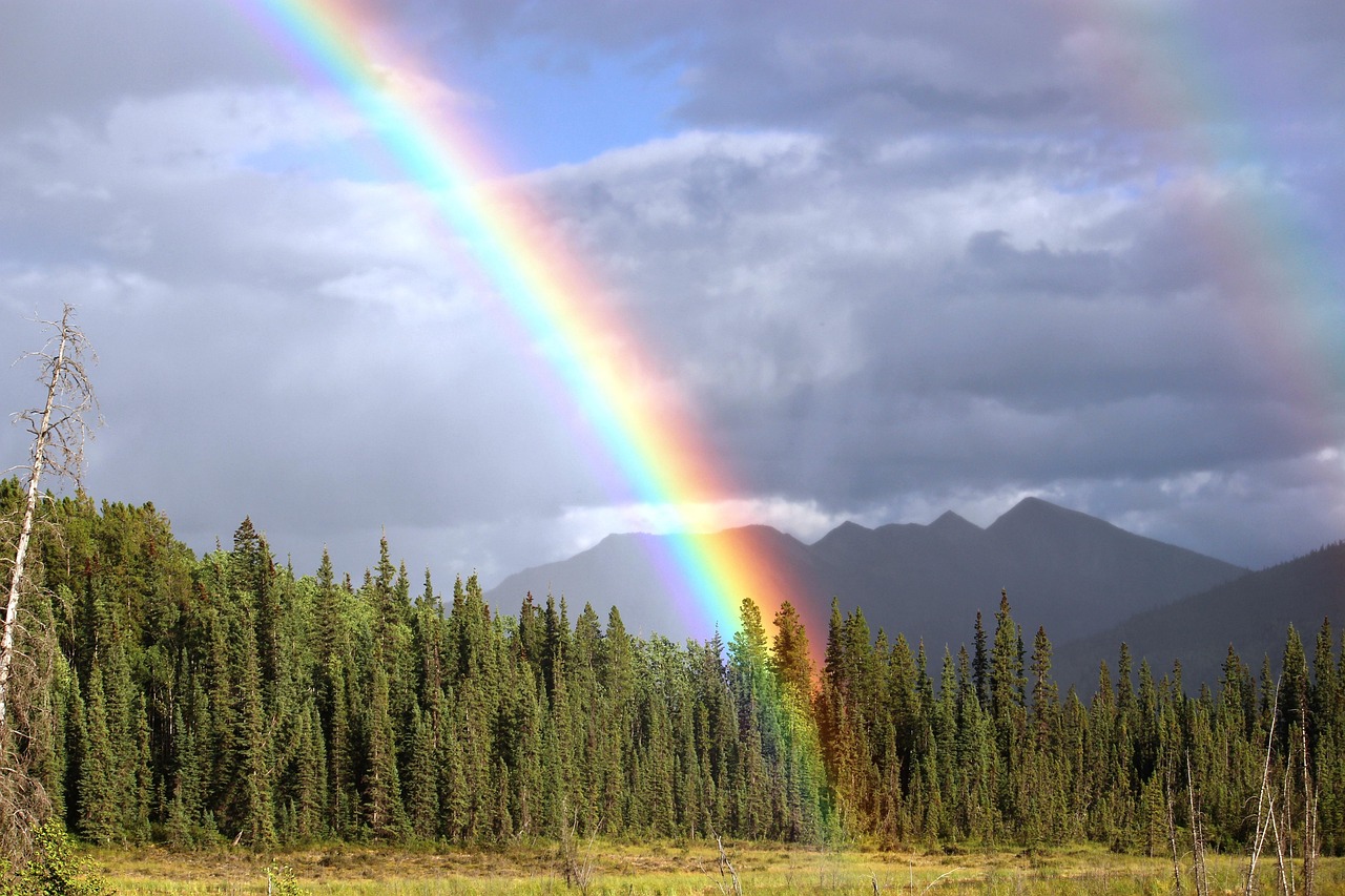 Arco-íris ou arco iris: Qual a forma certa de escrever?