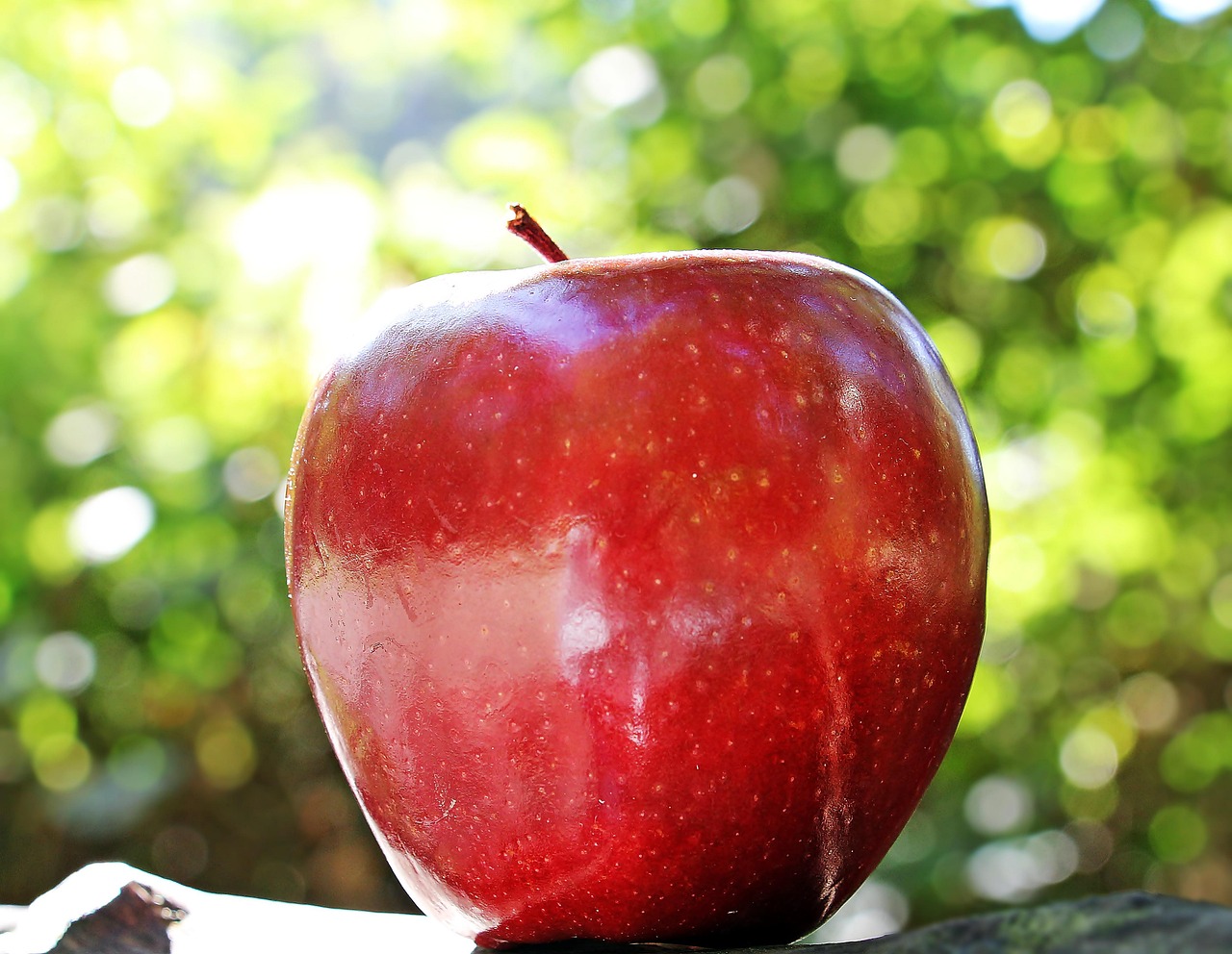 Mensagens para Professores de Agradecimento: 5 Exemplos Inspiradores